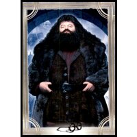 15 - Harry Potter - Trading Cards - 2022