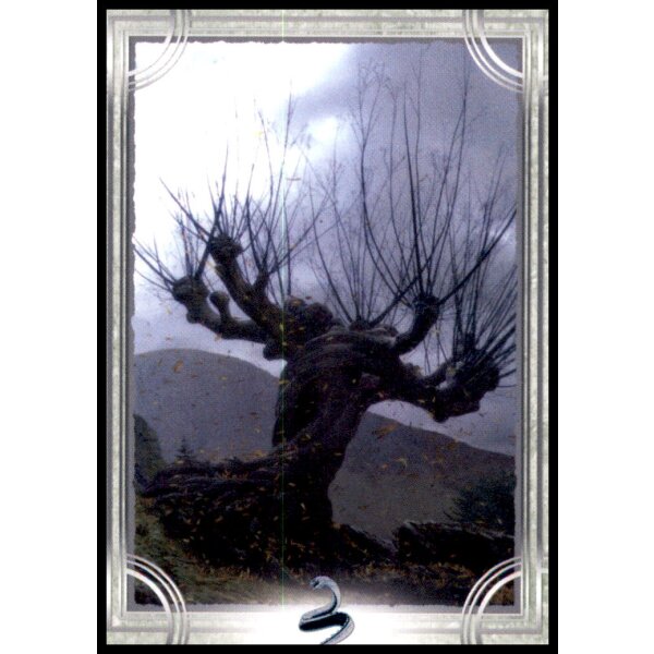 32 - Harry Potter - Trading Cards - 2022