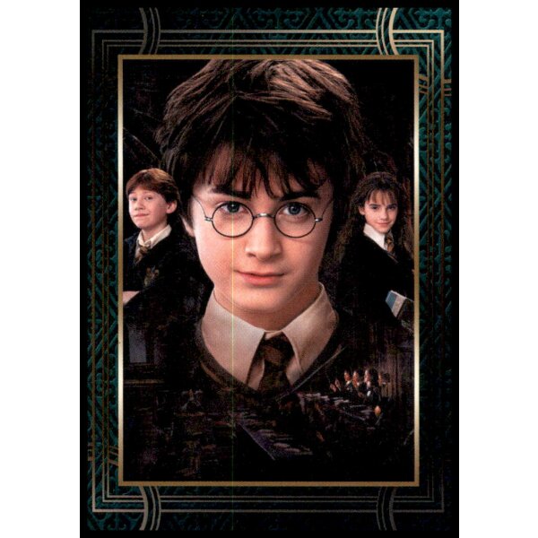 34 - Harry Potter - Trading Cards - 2022