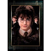 34 - Harry Potter - Trading Cards - 2022