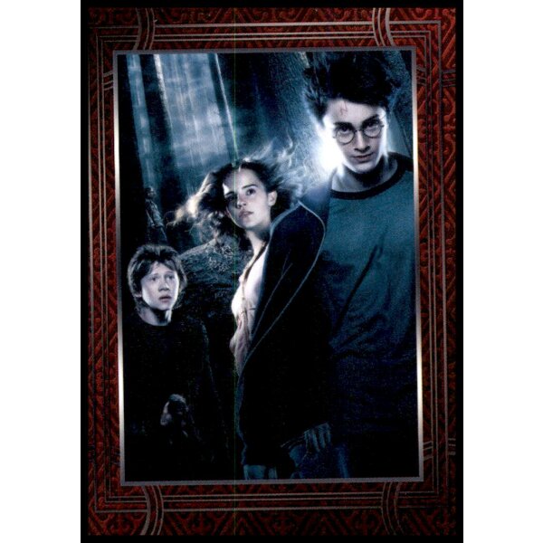 61 - Harry Potter - Trading Cards - 2022