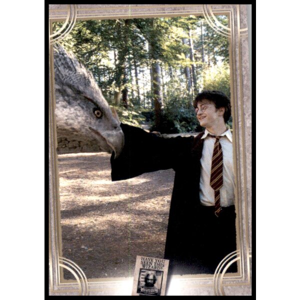 65 - Harry Potter - Trading Cards - 2022