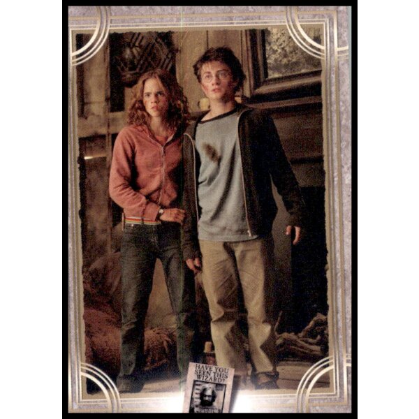 74 - Harry Potter - Trading Cards - 2022