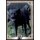 77 - Harry Potter - Trading Cards - 2022