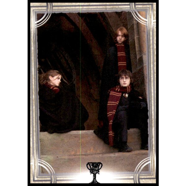 96 - Harry Potter - Trading Cards - 2022