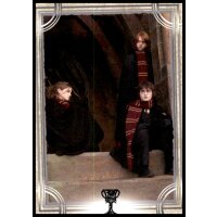 96 - Harry Potter - Trading Cards - 2022