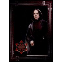 127 - Harry Potter - Trading Cards - 2022