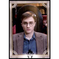 132 - Harry Potter - Trading Cards - 2022