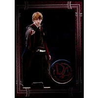 133 - Harry Potter - Trading Cards - 2022