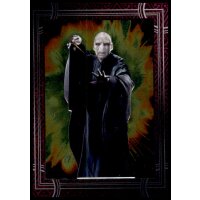 135 - Harry Potter - Trading Cards - 2022