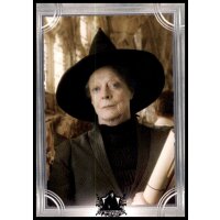 148 - Harry Potter - Trading Cards - 2022