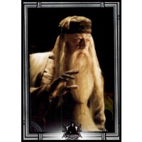 149 - Harry Potter - Trading Cards - 2022