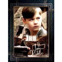 151 - Harry Potter - Trading Cards - 2022