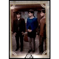 164 - Harry Potter - Trading Cards - 2022