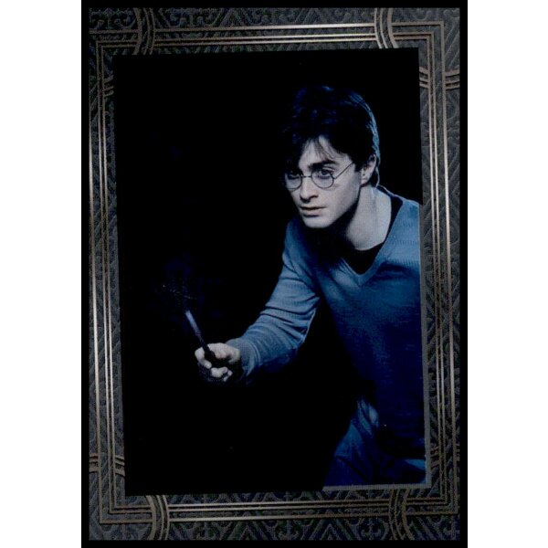 180 - Harry Potter - Trading Cards - 2022