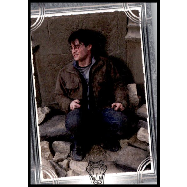 197 - Harry Potter - Trading Cards - 2022