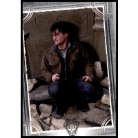 197 - Harry Potter - Trading Cards - 2022