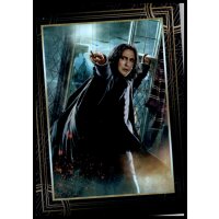 201 - Harry Potter - Trading Cards - 2022