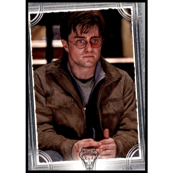 202 - Harry Potter - Trading Cards - 2022