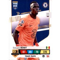 64 - Edouard Mendy - Team Mate - 2023