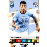 101 - Joao Cancelo - Team Mate - 2023