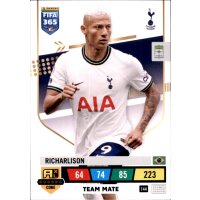 144 - Richarlison - Team Mate - 2023