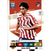 161 - Joao Felix - Team Mate - 2023