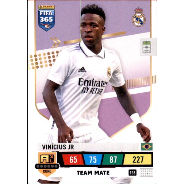 198 - Vinicius Jr - Team Mate - 2023