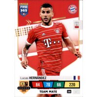 246 - Lucas Hernandez - Team Mate - 2023