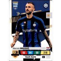 301 - Marcelo Brozovic - Team Mate - 2023