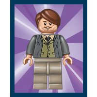 Sticker 83 - LEGO Harry Potter - Reise in die Zauberwelt