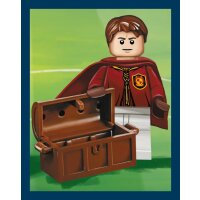 Sticker 197 - LEGO Harry Potter - Reise in die Zauberwelt