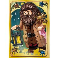 Gold Karte 6 - LEGO Harry Potter - Reise in die Zauberwelt