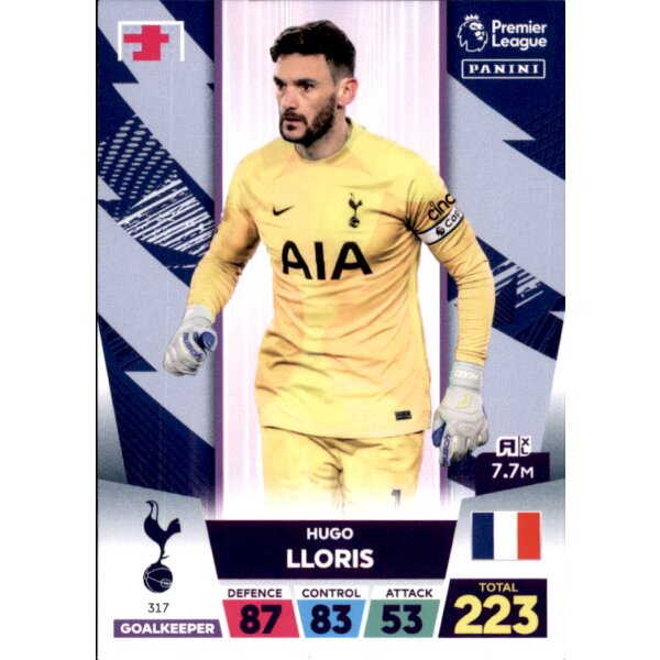 317 - Hugo Lloris - Team Mate - 2022/2023