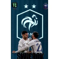 222 - Lucas Hernandez/Theo Hernamdez - Synergy - 2023