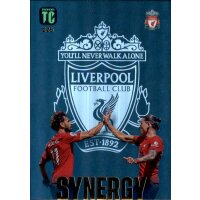 225 - Mohamed Salah/Nunez - Synergy - 2023