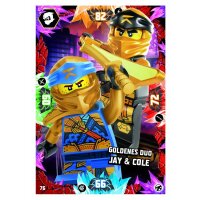 76 - Goldenes Duo - Jay & Cole  - Helden - Serie 8...