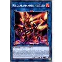 LD10-DE011 - Grosalamander Heißleo - 1. Auflage