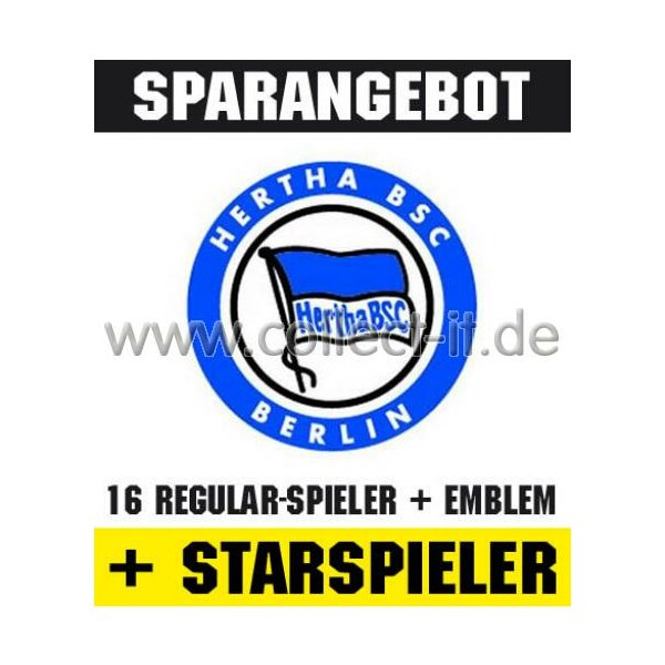 Mannschafts-Paket mit beiden Starspielern - SAISON 08/09 - Hertha BSC Berlin