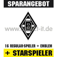 Mannschafts-Paket mit beiden Starspielern - SAISON 08/09...