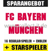 Mannschafts-Paket mit beiden Starspielern - SAISON 08/09...