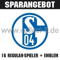 Mannschafts-Paket - SAISON 08/09 - FC Schalke 04