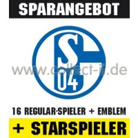 Mannschafts-Paket mit beiden Starspielern - SAISON 08/09...