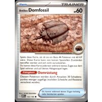 152/165 - Antikes Domfossil - Common - Karmesin &...