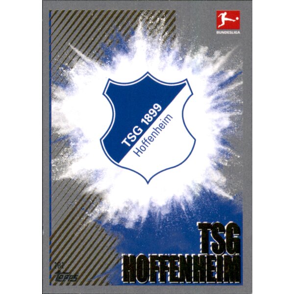 181 - TSG 1899 Hoffenheim - Clubkarte - 2023/2024