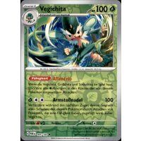 005/182 - Vegichita - Reverse Holo - PAR Paradoxrift