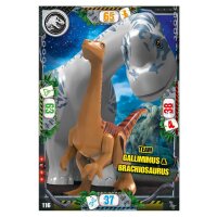 116 - Team Gallimimus & Brachiosaurus - Dinosaurier...