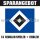 Mannschafts-Paket - Hamburger SV - Saison 09/10