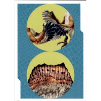 Sticker 62 - PaniniPedia - Dinosaurier