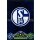 MX-340 - FC SCHALKE 04 - Clubkarte - Saison 10/11